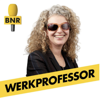 De Werkpodcast